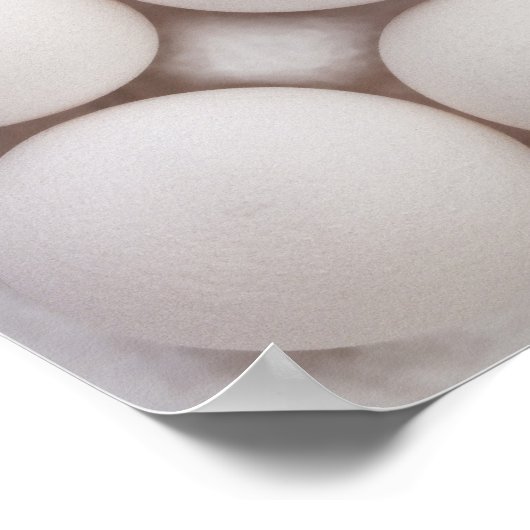 Eggs Poster (Ecke)