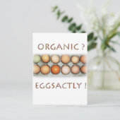 EGGSACTLY POSTKARTE (Stehend Vorderseite)