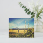 Egmont Village Postcard Postkarte (Stehend Vorderseite)