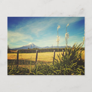 Egmont Village Postcard Postkarte