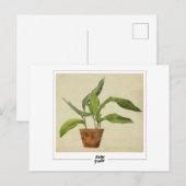 Egon Schiele #594-2 - Fine Art Postkarte (Vorne/Hinten)