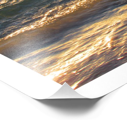 Egret am Strand Fotografie Print (Ecke)