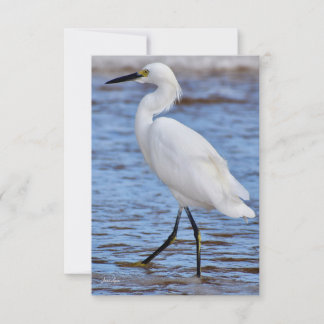 Egret auf der Strandkarte Dankeskarte