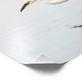 Egret auf einem noch bewachsenen Teich Fotodruck (Ecke)