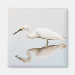 Egret auf einem noch bewachsenen Teich Magnet
