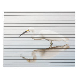 Egret auf einem noch bewachsenen Teich Notizblock