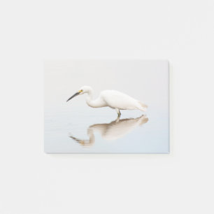 Egret auf einem noch bewachsenen Teich Post-it Klebezettel