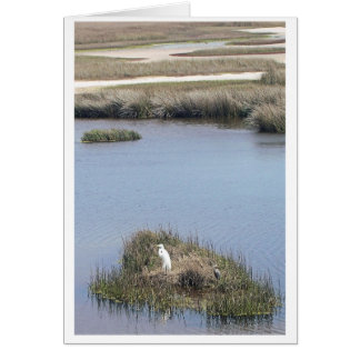 Egret bei Zuhause