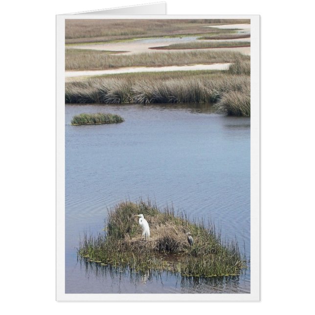 Egret bei Zuhause (Vorne)