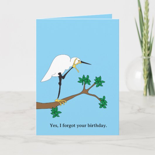 Egret Belated Birthday Karte (Vorderseite)