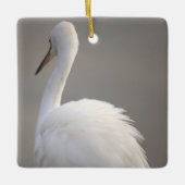 Egret Bird Ornament (Vorderseite)