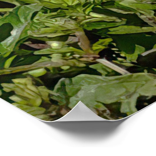 Egret Bird Poster (Ecke)