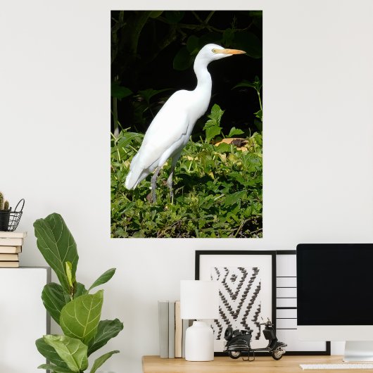 Egret Bird Poster (Heimbüro)