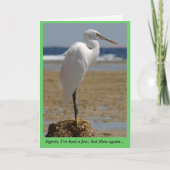 Egret Card Karte (Vorderseite)
