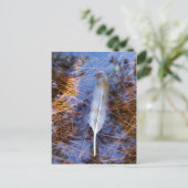 Egret-Feder Postkarte (Stehend Vorderseite)
