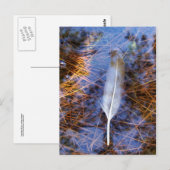 Egret-Feder Postkarte (Vorne/Hinten)
