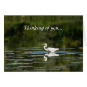 Egret Fish Fest Denken Sie an Ihre Karte (Vorderseite (Horizontal))