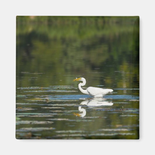 Egret Fish Fest Magnet (Vorne)