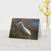 Egret Greeting Card Karte (Gelbe Blume)