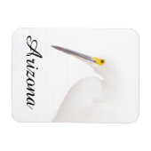 Egret Headshot, Arizona Magnet (Horizontal)