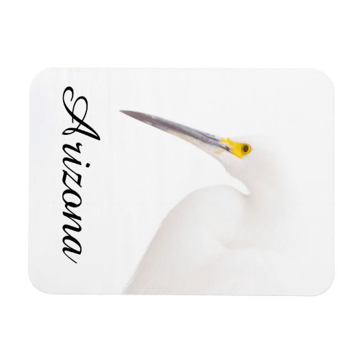 Egret Headshot, Arizona Magnet (Horizontal)