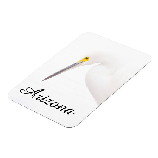 Egret Headshot, Arizona Magnet (Linke Seite)