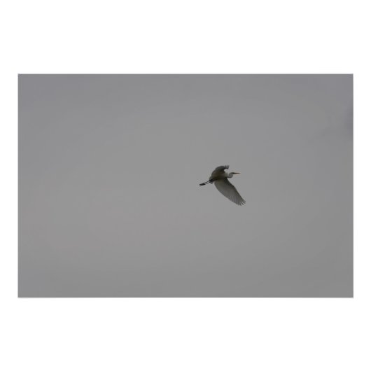 Egret im Flug Fotodruck (Vorne)
