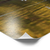 Egret im Flug über den Goldenen Teich Fotodruck (Ecke)