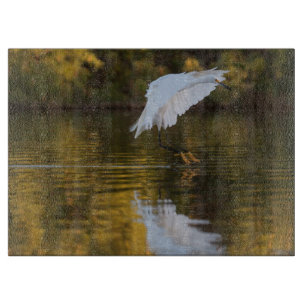 Egret im Flug über den Goldenen Teich Schneidebrett