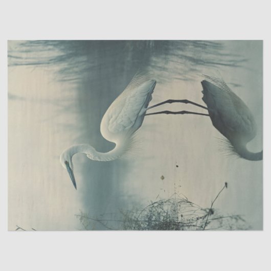 Egret in der Nebeldekoupage Seidenpapier (Vorderseite)
