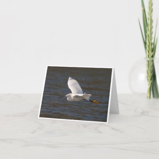 Egret in Flight Karte (Vorderseite)
