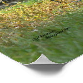 Egret kratzend Poster (Ecke)