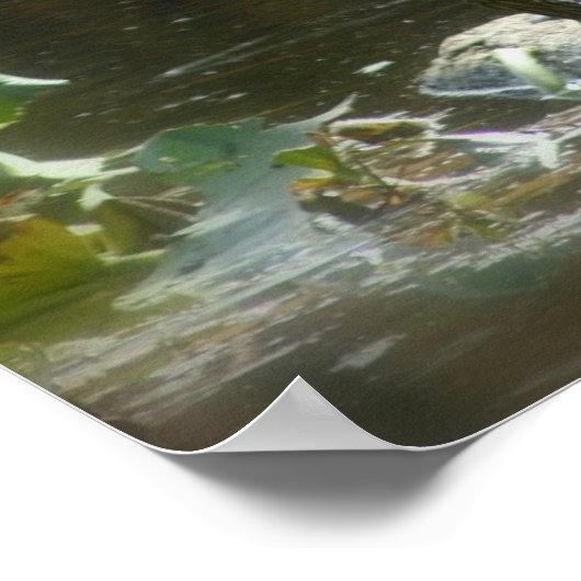 Egret mit Turtles Poster (Ecke)