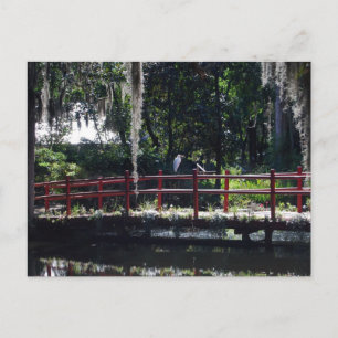 Egret on Red Bridge Postcard Postkarte