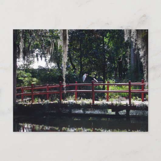 Egret on Red Bridge Postcard Postkarte (Vorderseite)