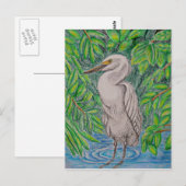 Egret Postkarte (Vorne/Hinten)