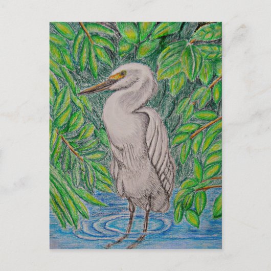 Egret Postkarte (Vorderseite)