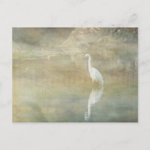 Egret Postkarte