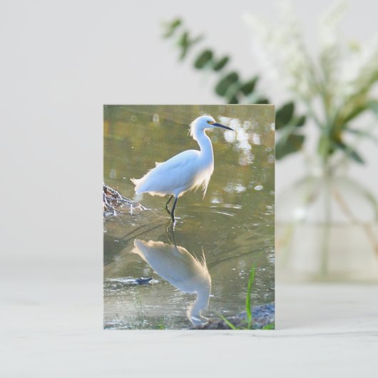 Egret Postkarte (Stehend Vorderseite)