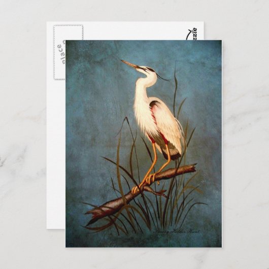 Egret Postkarte (Vorne/Hinten)