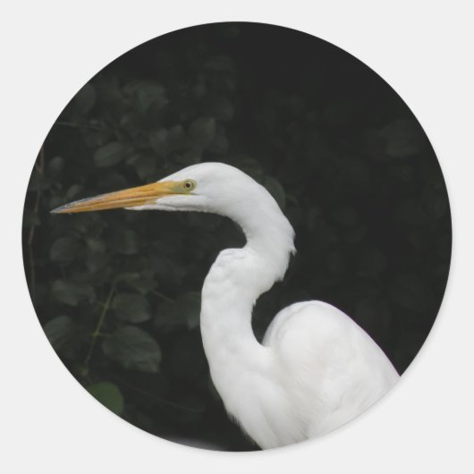 Egret Runder Aufkleber (Vorderseite)