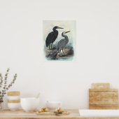 Egret und Heron Poster (Küche)