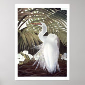 Egret und Palms Poster (Vorne)