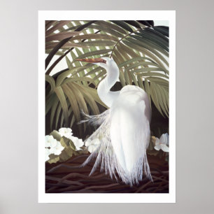 Egret und Palms Poster