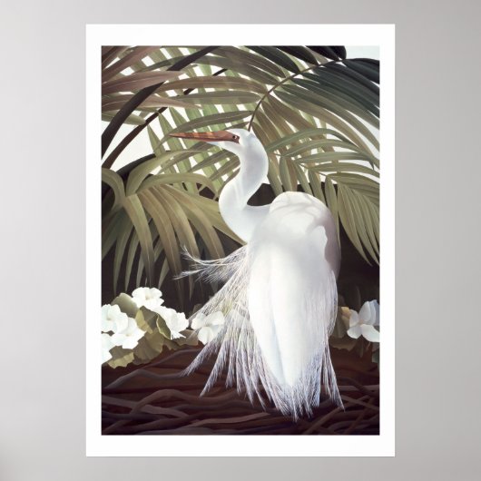 Egret und Palms Poster (Vorne)