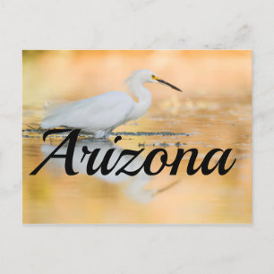 Egret, wenn die Sonne aufgeht, Arizona Postkarte