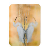 Egret, wenn die Sonne eingestellt ist Magnet (Vertikal)