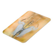 Egret, wenn die Sonne eingestellt ist Magnet (Linke Seite)