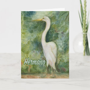 Egret white wilderness Hernano D-Day Karte Spanisc
