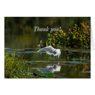 Egret Wing Exam Danke-Karte